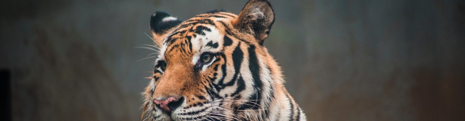 動物園5.jpg 動物園5.jpg