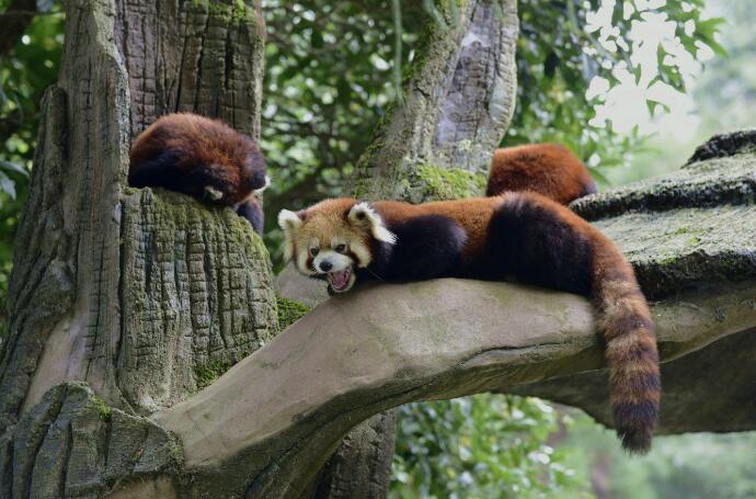 動物園4.jpg 動物園4.jpg