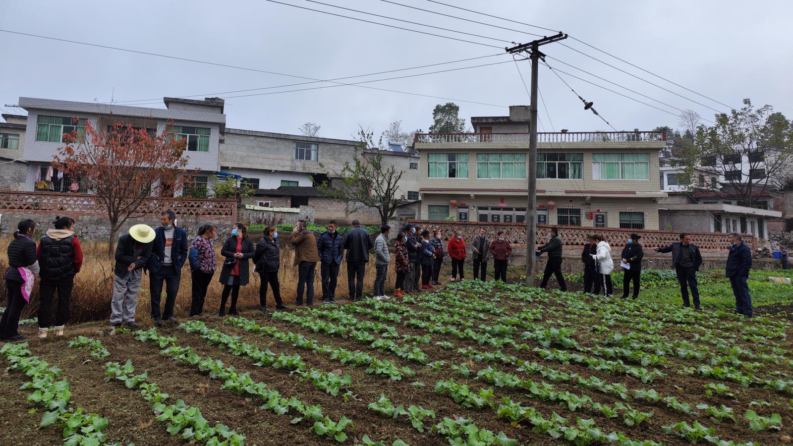 蔬菜培訓(xùn)2.jpg 蔬菜培訓(xùn)2.jpg