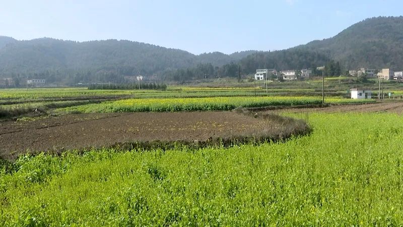 微信圖片_20230315132806.jpg 微信圖片_20230315132806.jpg