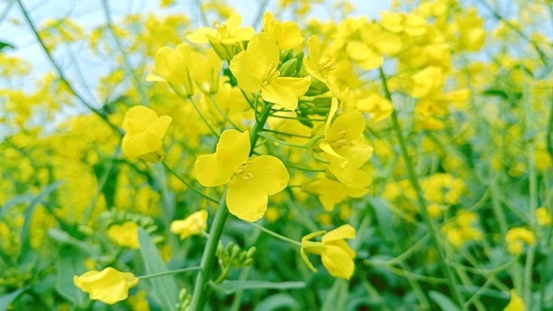 微信圖片_20230315132703.jpg 微信圖片_20230315132703.jpg