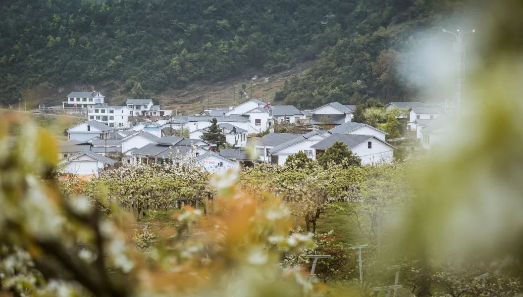 微信圖片_20230315134832.jpg 微信圖片_20230315134832.jpg