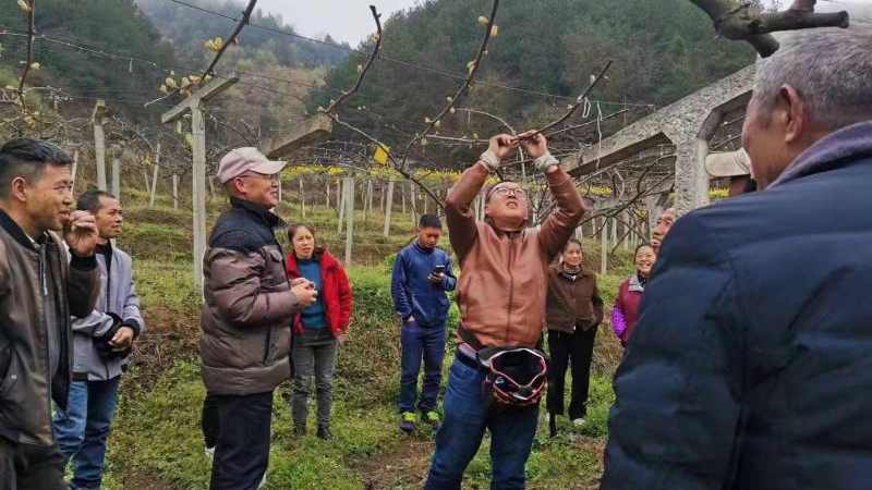 微信圖片_20230421141717.jpg 微信圖片_20230421141717.jpg