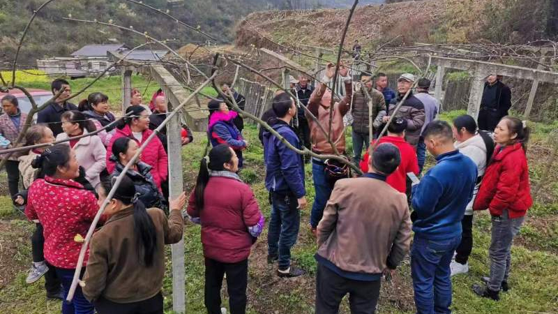 微信圖片_20230421141731.jpg 微信圖片_20230421141731.jpg