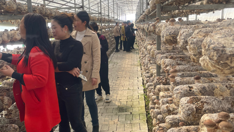 微信圖片_20230421142546.jpg 微信圖片_20230421142546.jpg