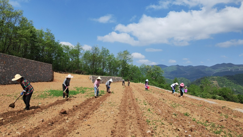 微信圖片_20230421143749.jpg 微信圖片_20230421143749.jpg