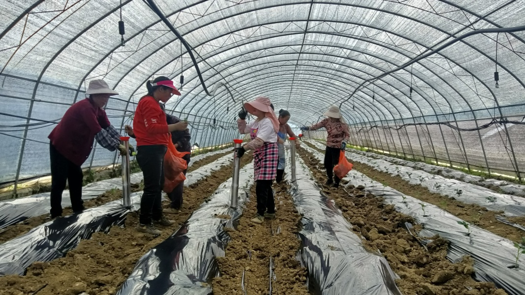 微信圖片_20230421144218.jpg 微信圖片_20230421144218.jpg