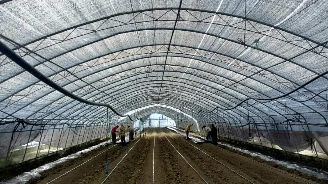 微信圖片_20230421144231.jpg 微信圖片_20230421144231.jpg