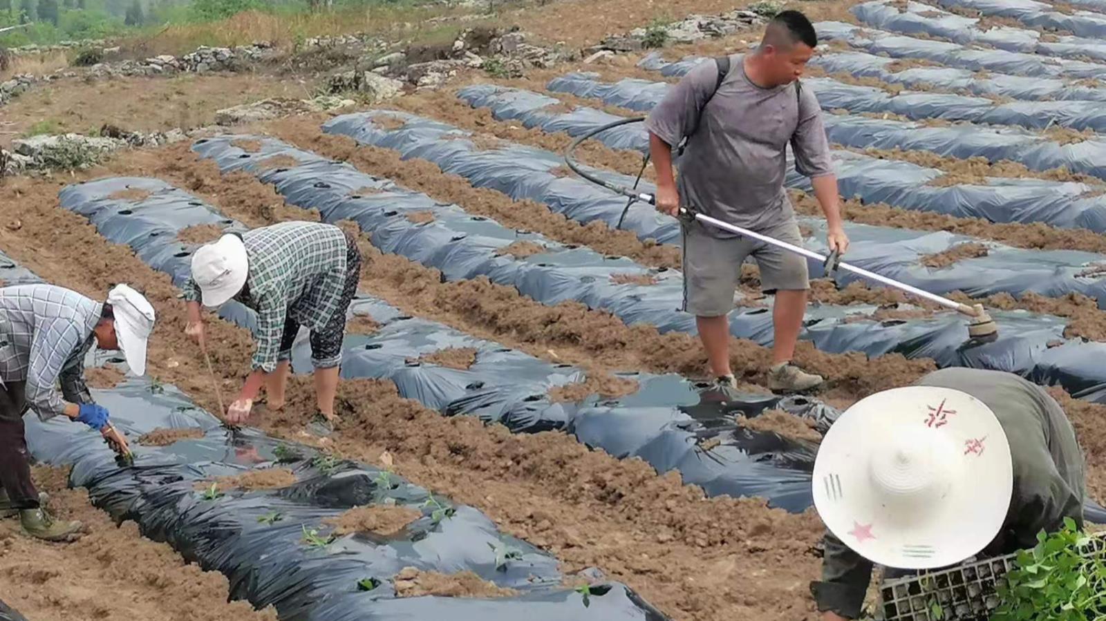 微信圖片_20230428165615.jpg 微信圖片_20230428165615.jpg