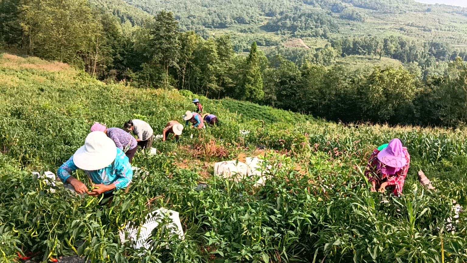 微信圖片_20230428165622.jpg 微信圖片_20230428165622.jpg