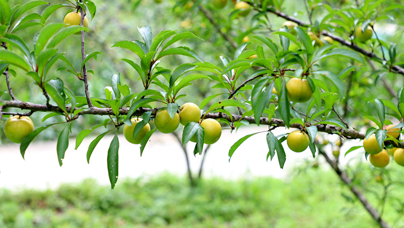 6cfe8ce83cd2b85592b991445712dd0a.png 6cfe8ce83cd2b85592b991445712dd0a.png