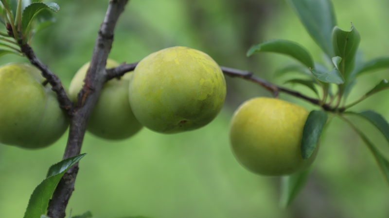 e32ceffbf857a7a5b8b0b256e6b526c3.png e32ceffbf857a7a5b8b0b256e6b526c3.png