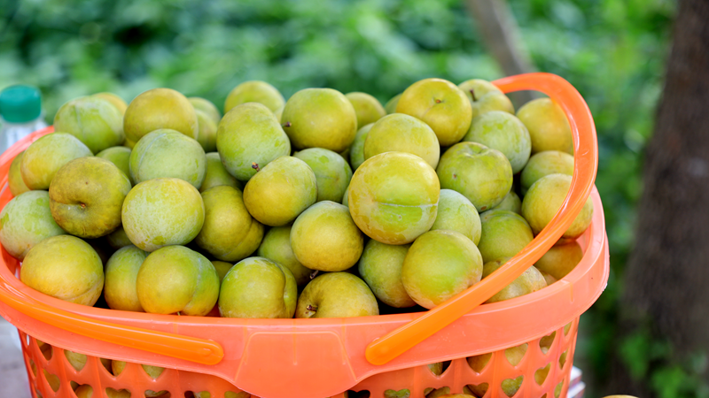 c88696a9541836b5688319c64c1632d7.png c88696a9541836b5688319c64c1632d7.png