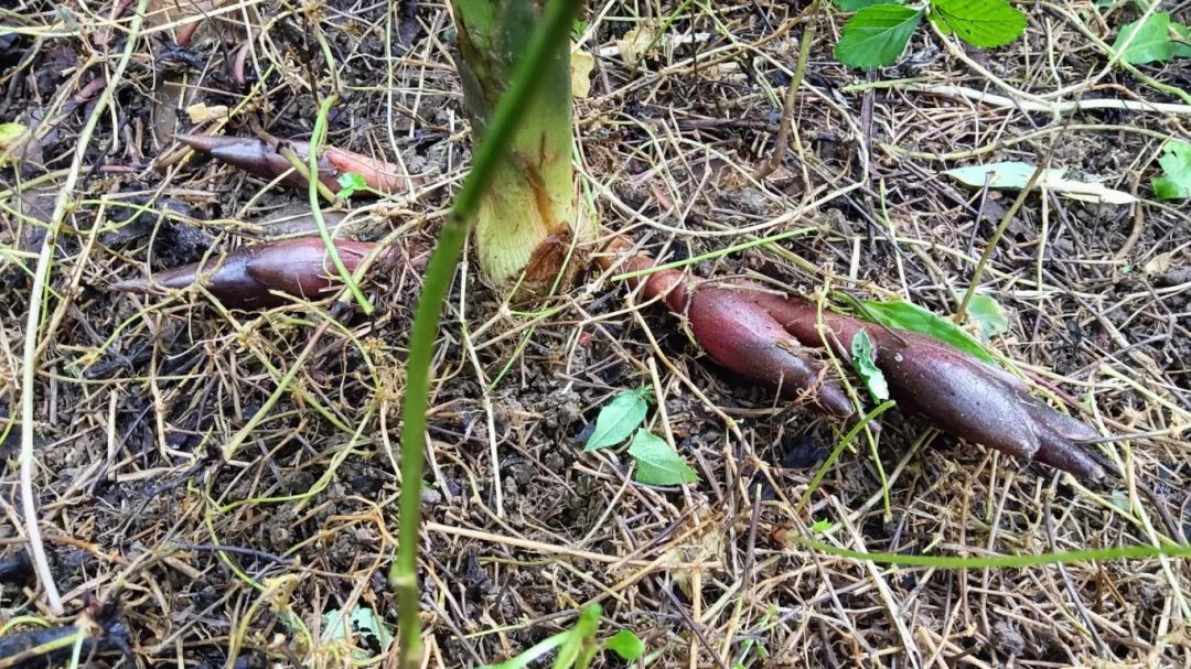 3e4b57675e3a49f285fde07c5cb987a5.jpg 3e4b57675e3a49f285fde07c5cb987a5.jpg