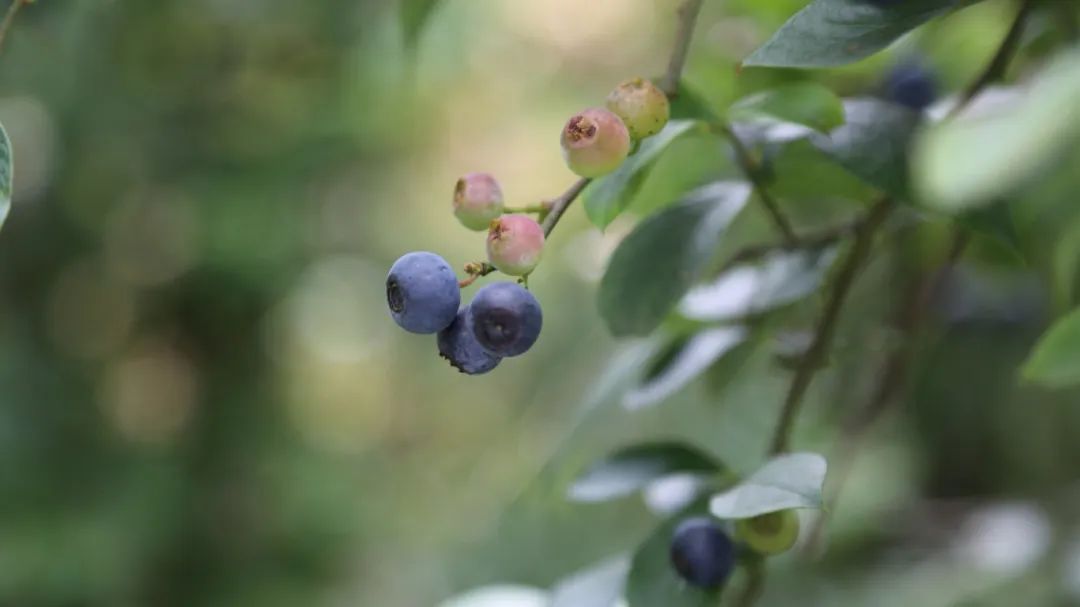 4b82f82179509d229e57dc26ad6effd5.jpg 4b82f82179509d229e57dc26ad6effd5.jpg