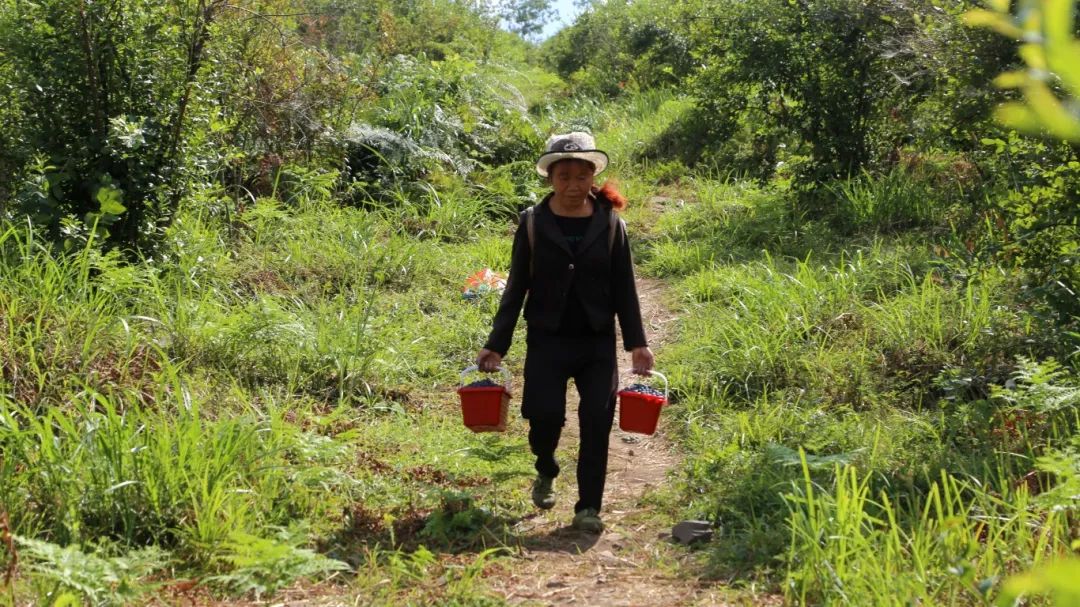 46845bce1e4fa71de3eee7a975e95065.jpg 46845bce1e4fa71de3eee7a975e95065.jpg