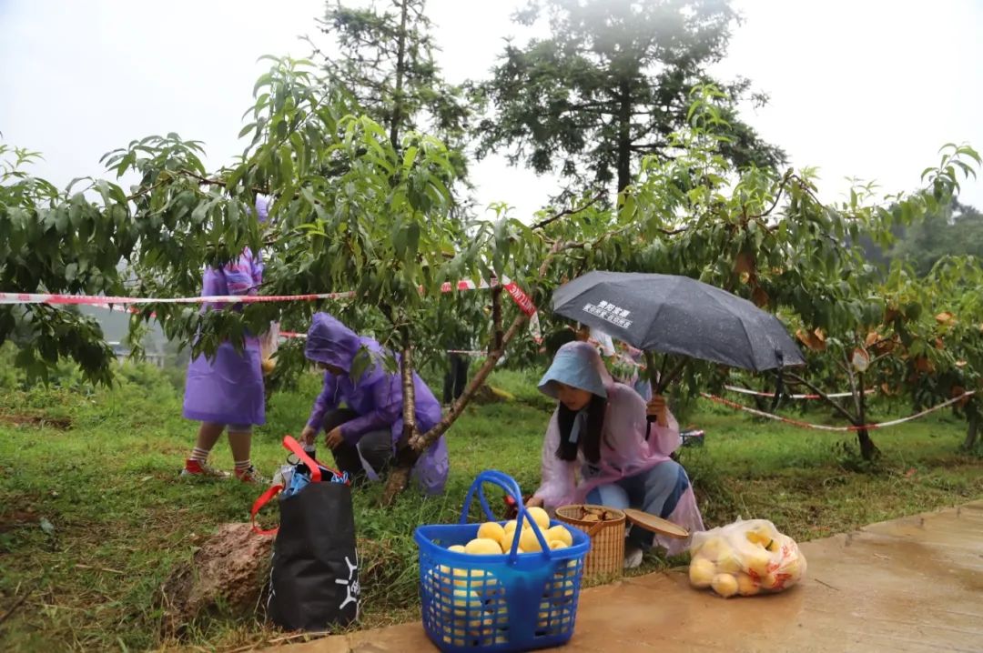 712eda60133ed523dd7a3e818a7f4d4c.jpg 712eda60133ed523dd7a3e818a7f4d4c.jpg