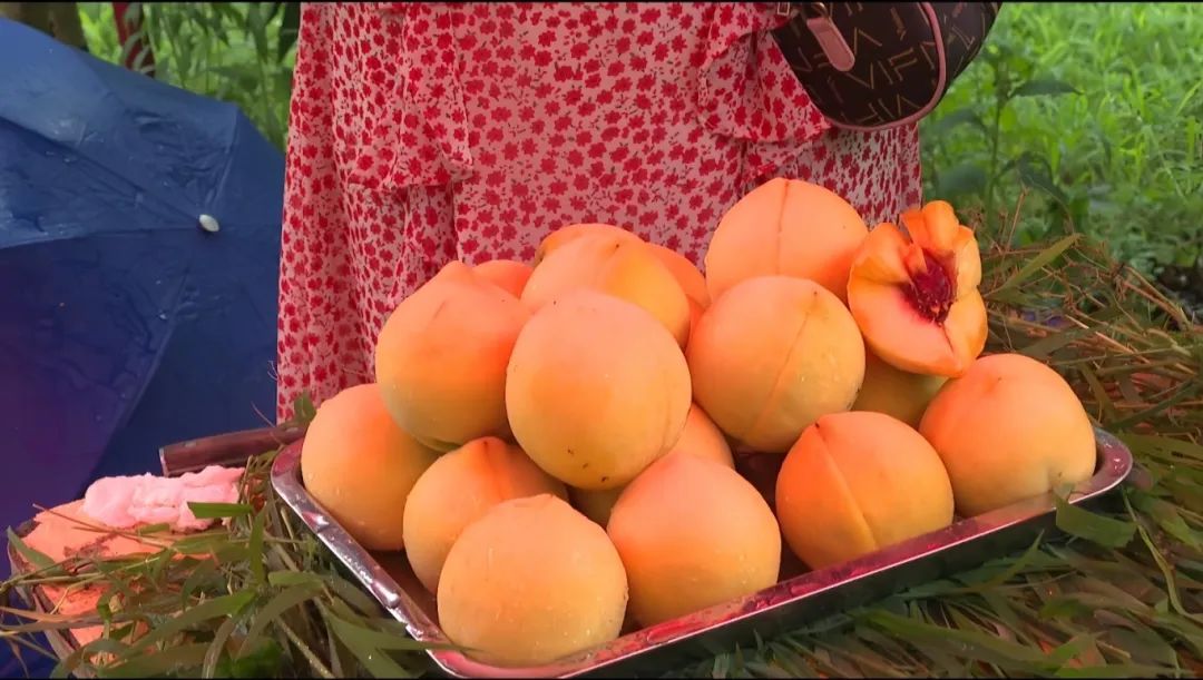 c3ea90a120296a415c8397df22204a45.jpg c3ea90a120296a415c8397df22204a45.jpg