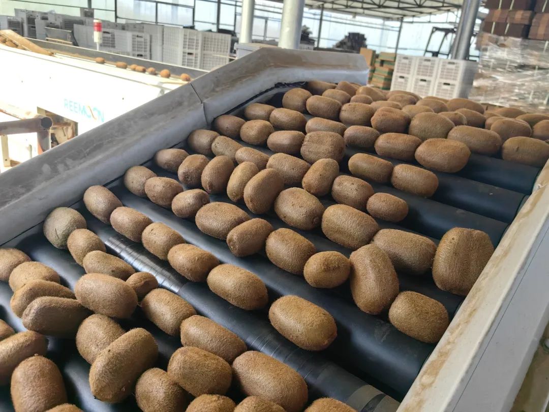 8021e95d7880a72fb16b2cc876effdf6.jpg 8021e95d7880a72fb16b2cc876effdf6.jpg