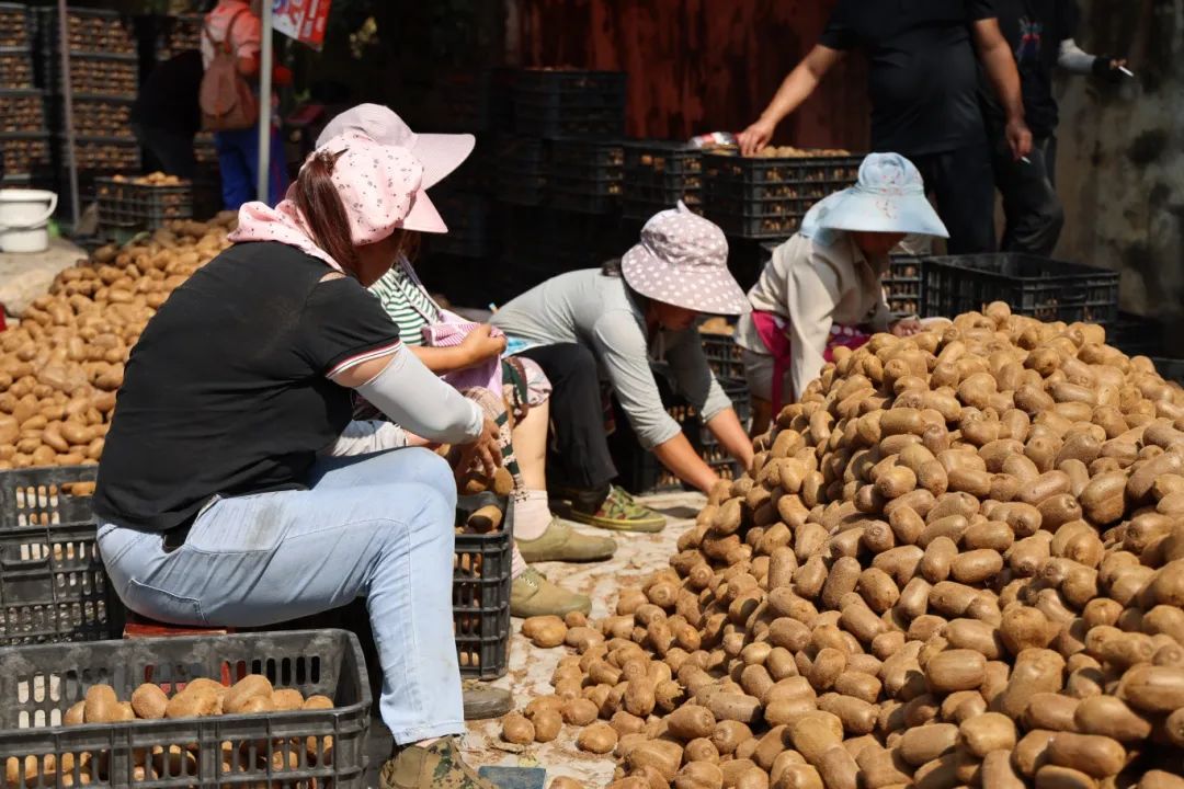 9ded837db07dd556cd9e52705c040674.jpg 9ded837db07dd556cd9e52705c040674.jpg