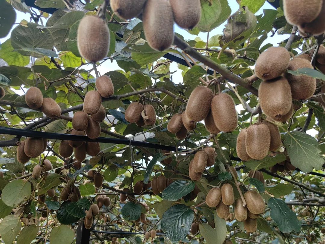 317ac05e57117ab6e18ccf16dcd3986f.jpg 317ac05e57117ab6e18ccf16dcd3986f.jpg