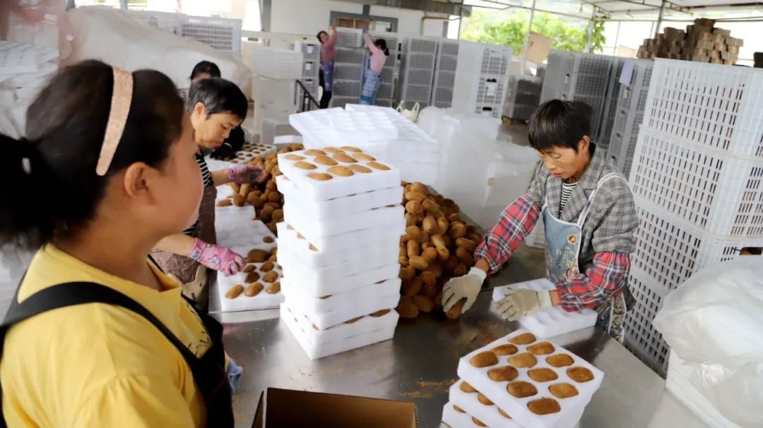 a87ccdd57436265380821543fa515ab1.jpg a87ccdd57436265380821543fa515ab1.jpg