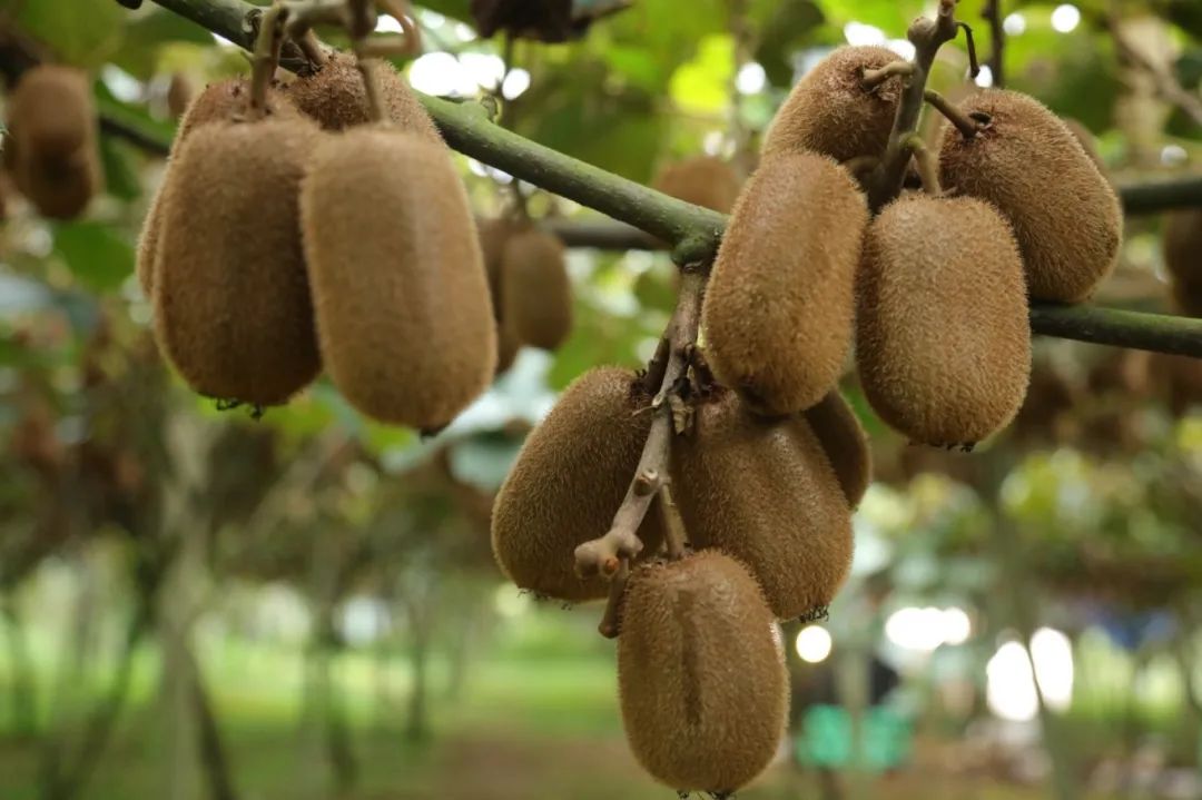 9c004c4132595ee7cd562ba66903b4c9.jpg 9c004c4132595ee7cd562ba66903b4c9.jpg