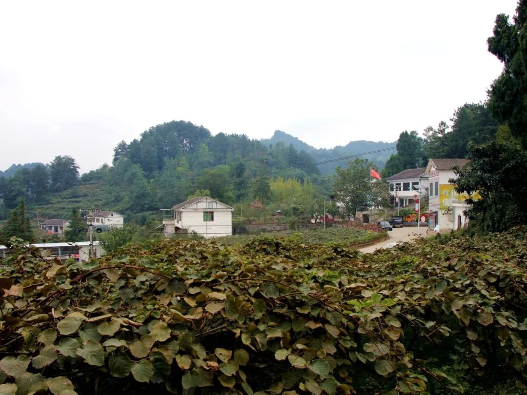 ee47e453bedb109918a2b3c5d4690607.jpg ee47e453bedb109918a2b3c5d4690607.jpg