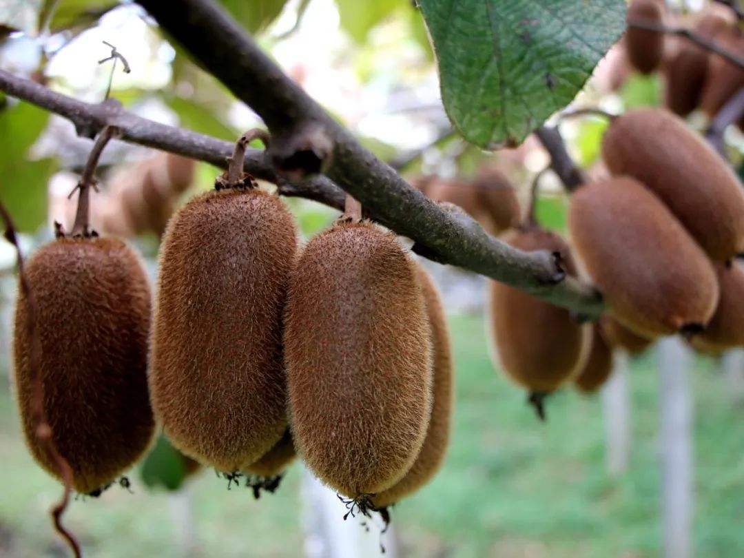 dae83728a51359281007c9cdc59c23a7.jpg dae83728a51359281007c9cdc59c23a7.jpg