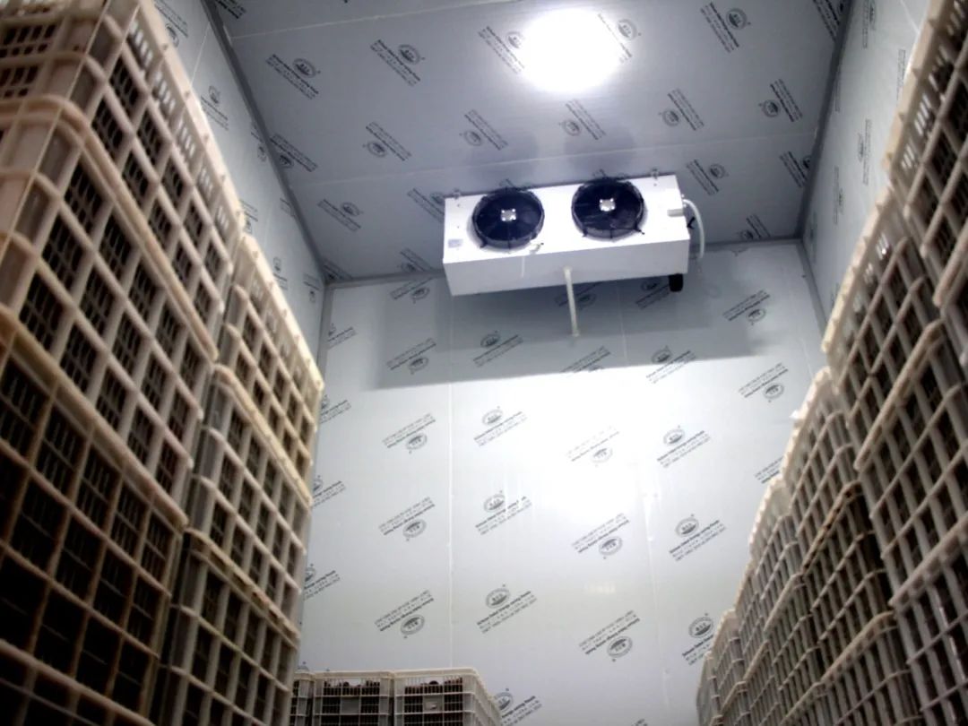 99d0a6bf8c039ceff652bf39e2cd6e9b.jpg 99d0a6bf8c039ceff652bf39e2cd6e9b.jpg