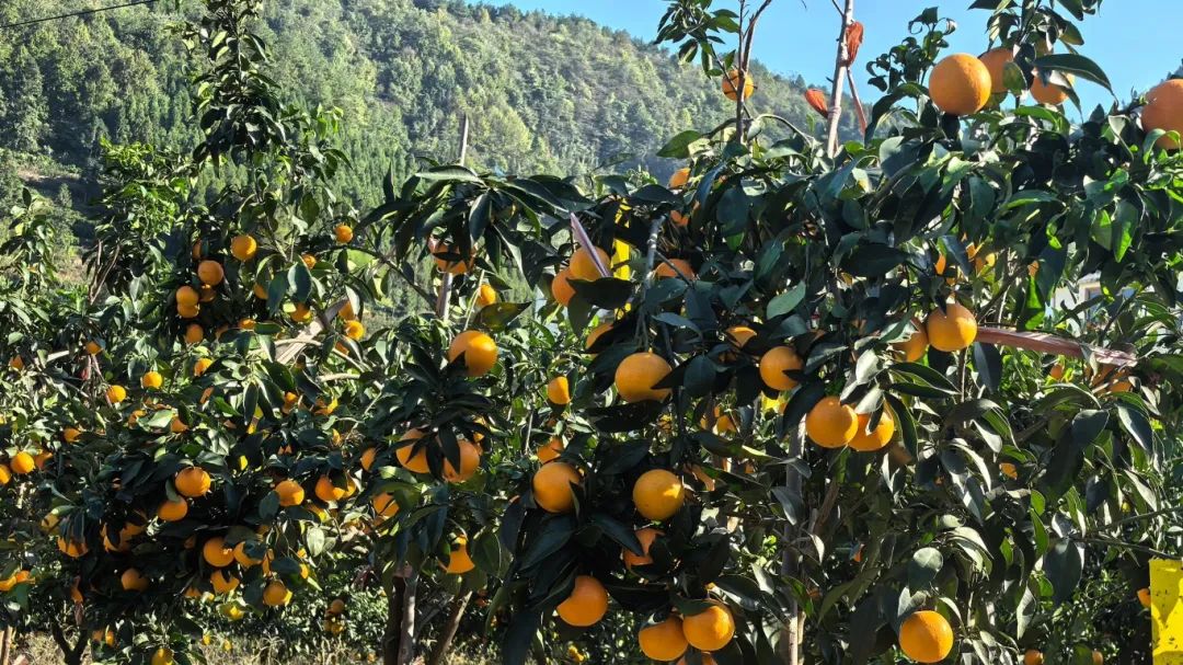 c97f74e2ab2a6cd09a3b5ac59007a214.jpg c97f74e2ab2a6cd09a3b5ac59007a214.jpg