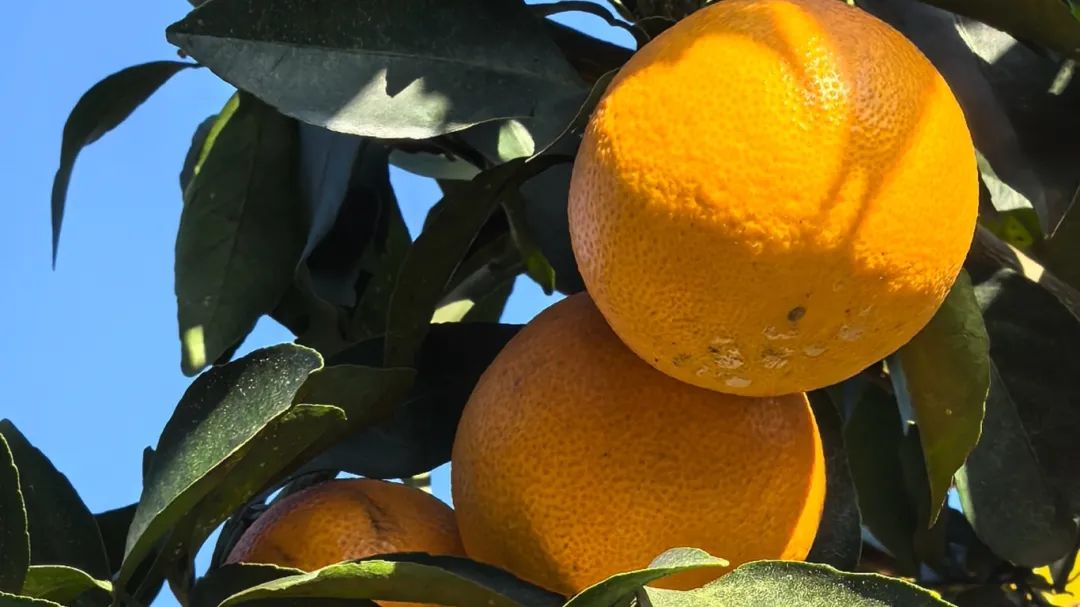 3970575ba95862517fc0d69b391e329d.jpg 3970575ba95862517fc0d69b391e329d.jpg