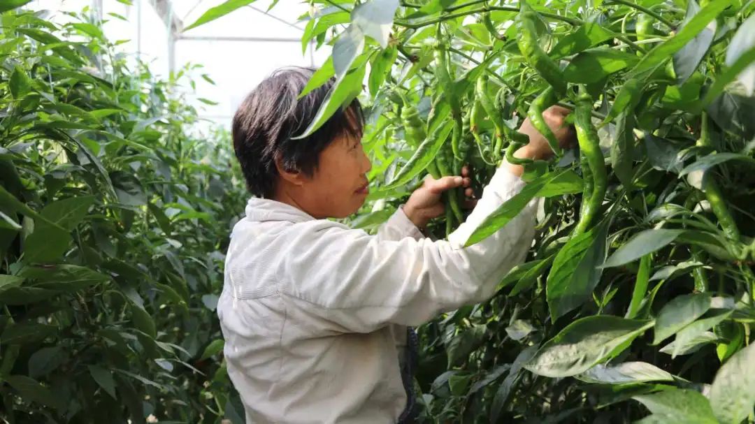 2bd9cfa1ac888add5917fdae10120bcc.jpg 2bd9cfa1ac888add5917fdae10120bcc.jpg