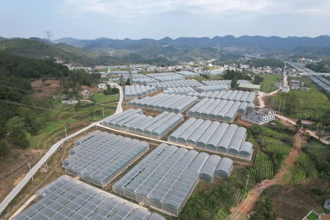 3e34497b5c2ae2d225cf2fa4ca336852.jpg 3e34497b5c2ae2d225cf2fa4ca336852.jpg