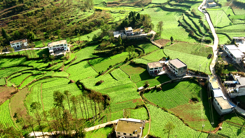 577d0971ed70f771fe7ee383055331a4.png 577d0971ed70f771fe7ee383055331a4.png