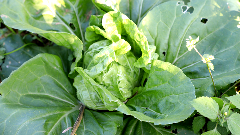 d9b4b78954d7a9a0ce2caa7a64767c82.png d9b4b78954d7a9a0ce2caa7a64767c82.png