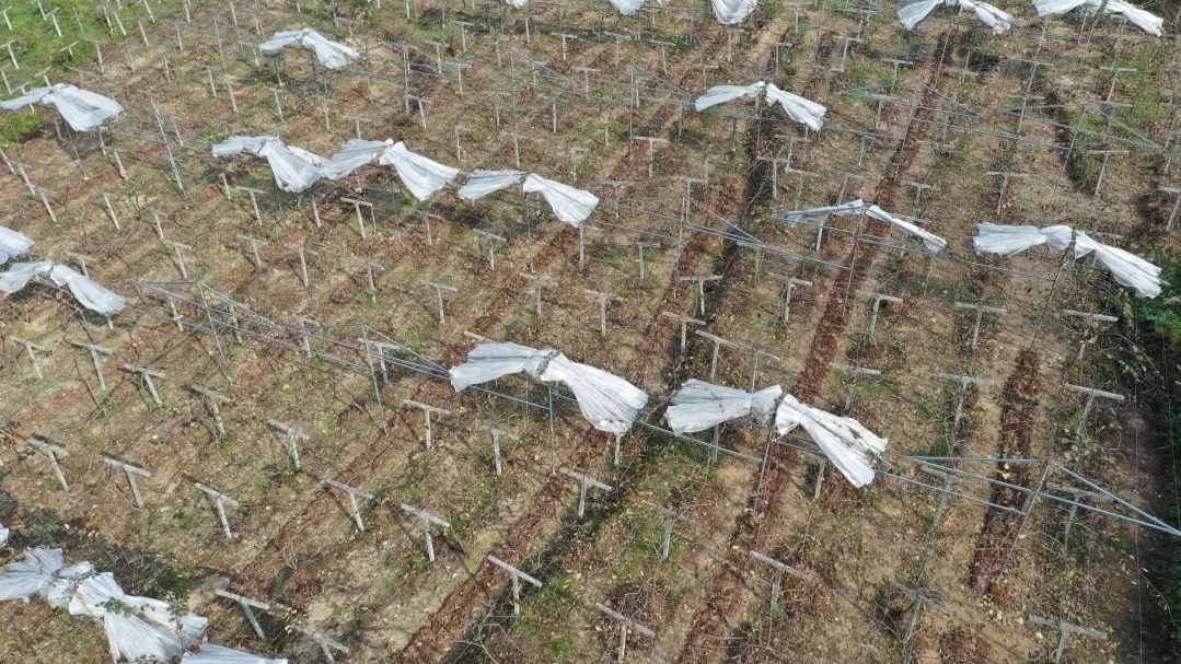 77a47c13a1ac4fcb61600f5c890d992e.jpg 77a47c13a1ac4fcb61600f5c890d992e.jpg