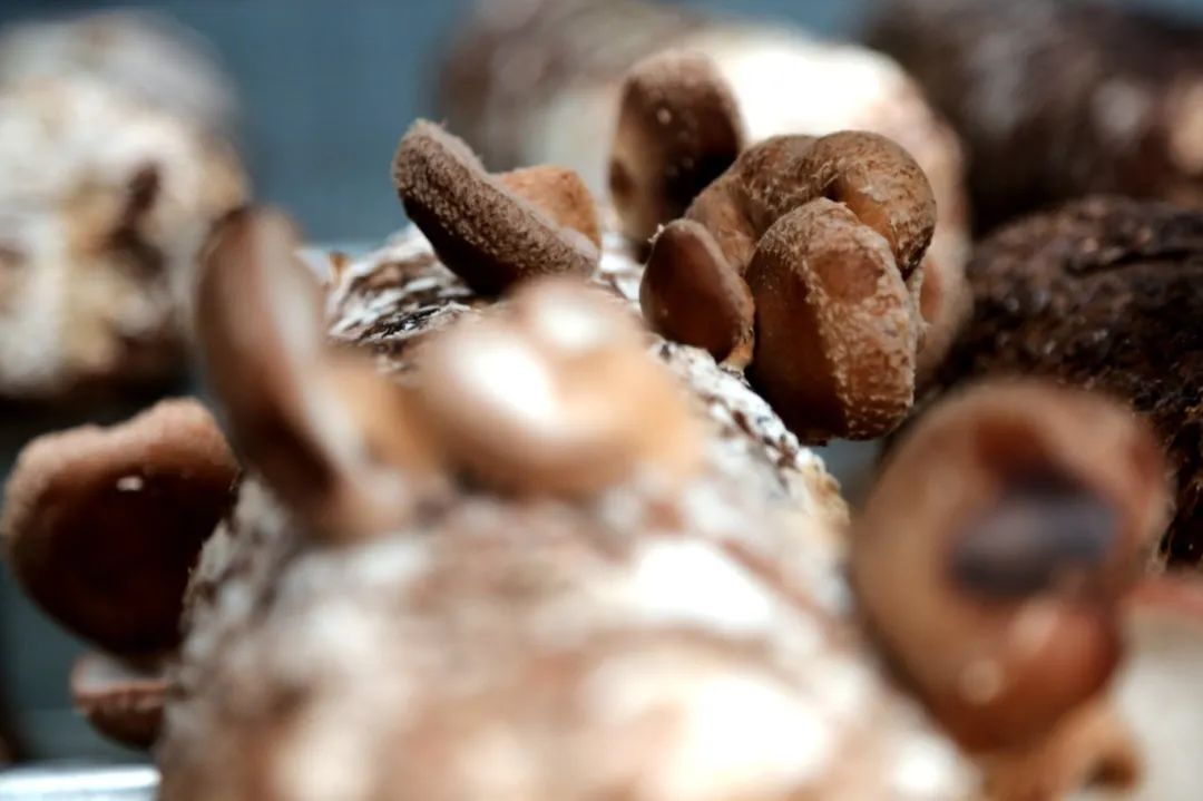 d57597e137a55dc879d820a0e85a88a9.jpg d57597e137a55dc879d820a0e85a88a9.jpg