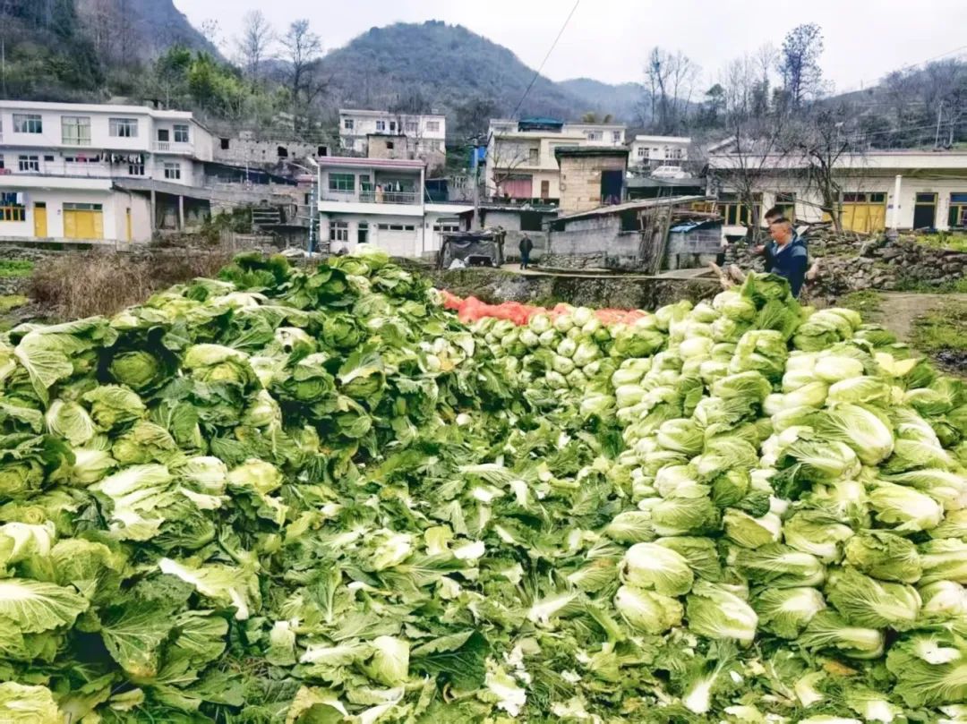 6e32e00787fb32f0744258564c046086.jpg 6e32e00787fb32f0744258564c046086.jpg