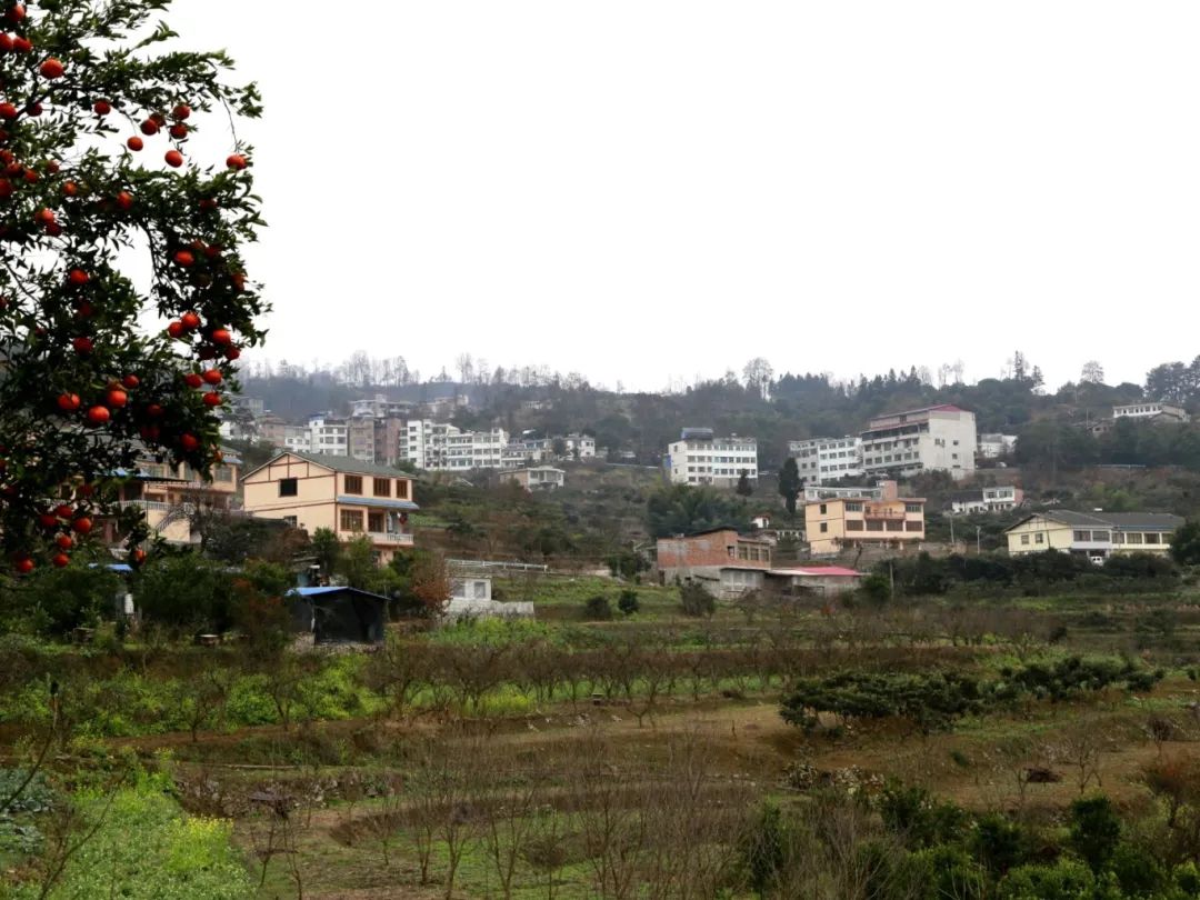 576f731c1819c122d618b7e718e7b2aa.jpg 576f731c1819c122d618b7e718e7b2aa.jpg