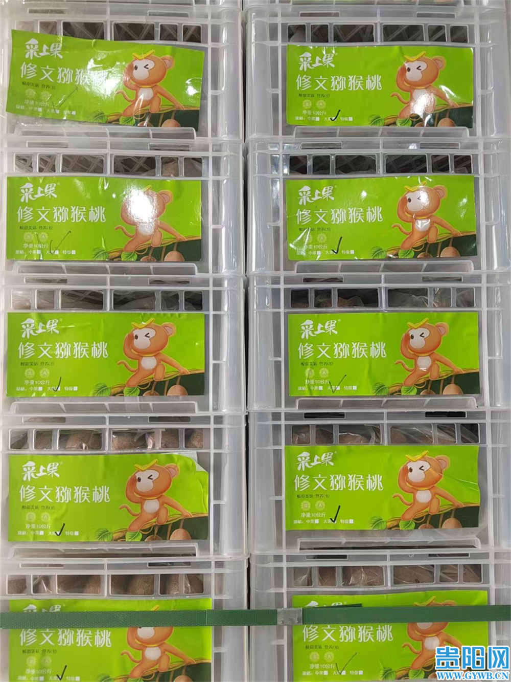 7a5e7e9f8257f83c8095e21ebf4c1932.png 7a5e7e9f8257f83c8095e21ebf4c1932.png