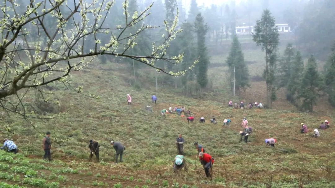 166f2f18e2c5e04c748fdbfd59dcfec9.jpg 166f2f18e2c5e04c748fdbfd59dcfec9.jpg