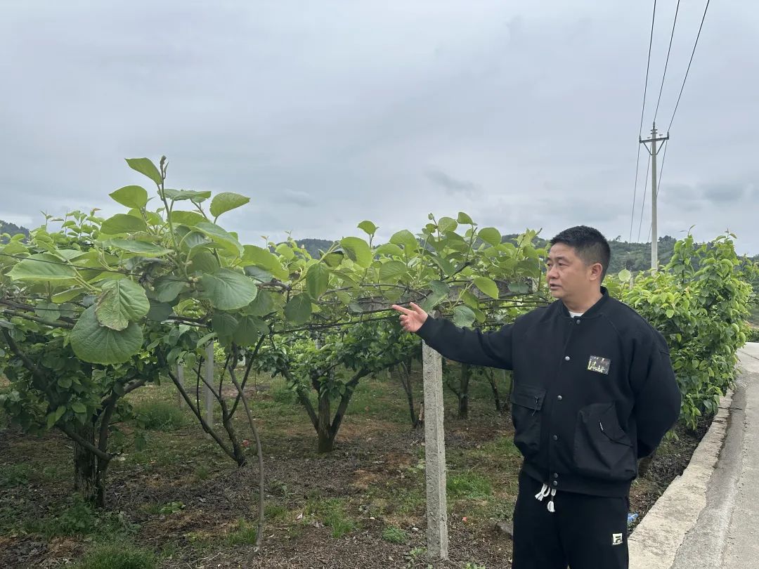 377c5bd87b19f2b3676d2d2a5002e883.jpg 377c5bd87b19f2b3676d2d2a5002e883.jpg