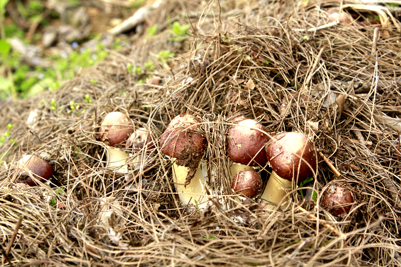 8014250dfed1789fd6b072aeccbc126f.png 8014250dfed1789fd6b072aeccbc126f.png