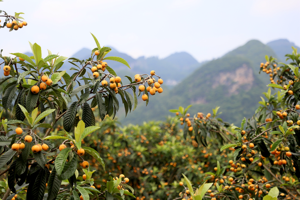 72c64802baf24f363d7b49fe310e5282.png 72c64802baf24f363d7b49fe310e5282.png