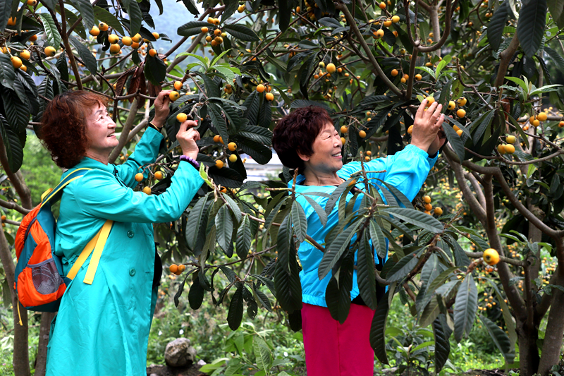 185113a99dfcd9d9be6a4530fa82b880.png 185113a99dfcd9d9be6a4530fa82b880.png