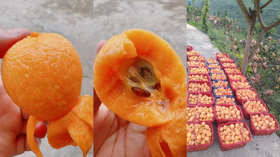 7421802c94559010bd81102d1b77e973.png 7421802c94559010bd81102d1b77e973.png