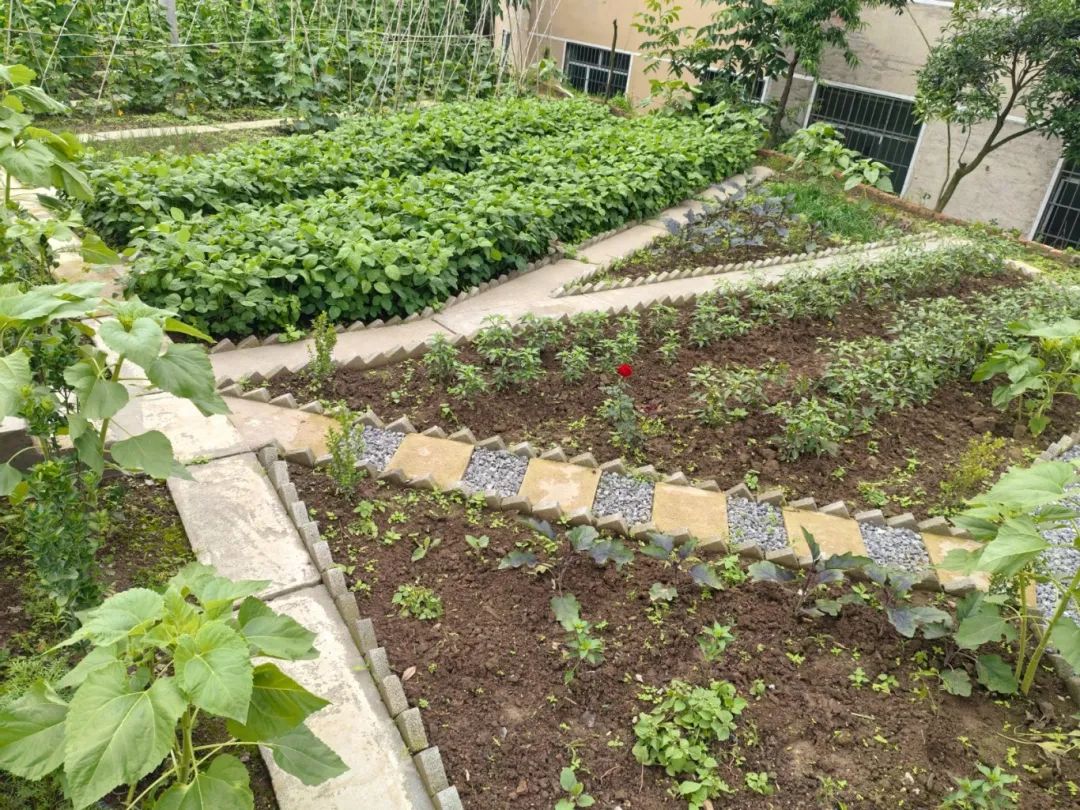 a82f059dcf91100cb36b2f0a19a1a3ff.jpg a82f059dcf91100cb36b2f0a19a1a3ff.jpg