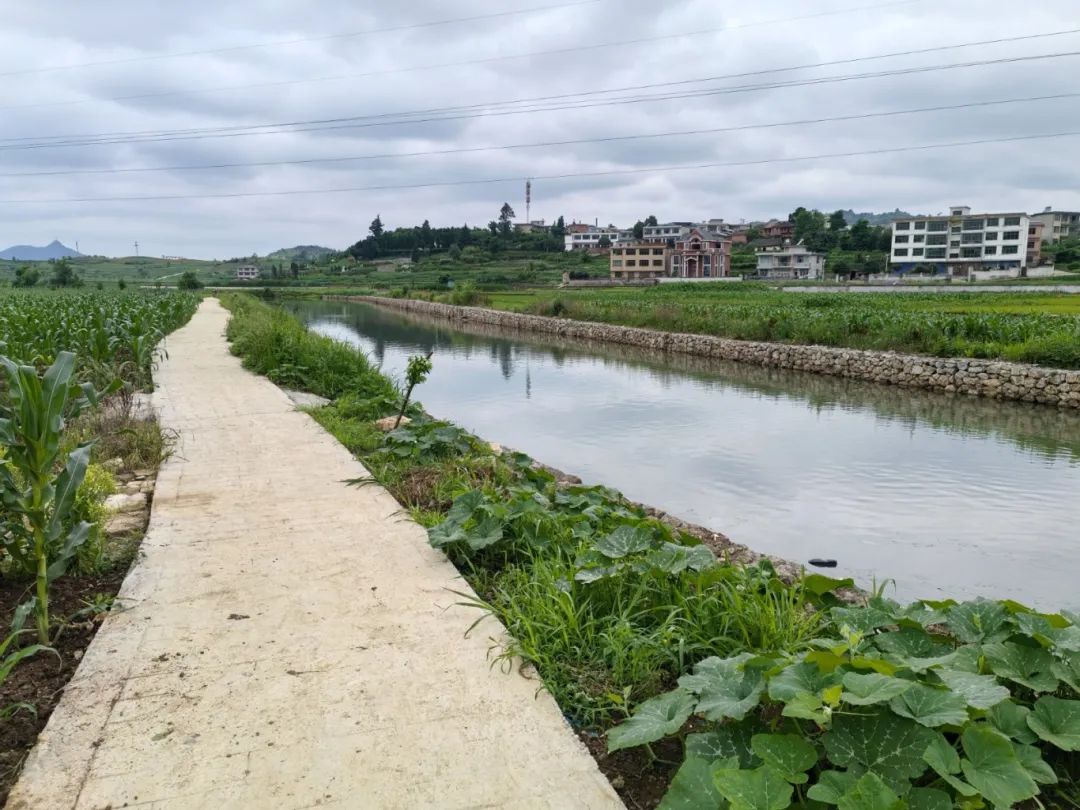 654eb20e07e9bee56ecb8c93da71bbb3.jpg 654eb20e07e9bee56ecb8c93da71bbb3.jpg