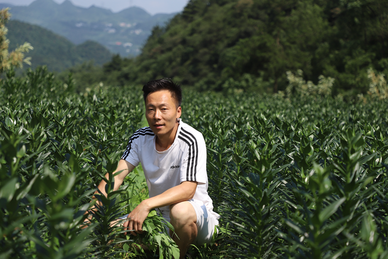 d3607c6839800bee73bf9c78664c3288.png d3607c6839800bee73bf9c78664c3288.png